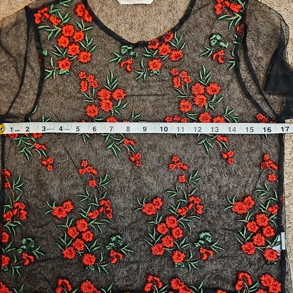 Twinkle By Wenlan Sheer Mesh Embroidered Top - Picture 10 of 11